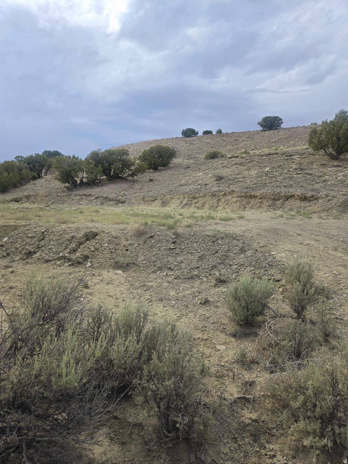 DUCHESNE MINI RANCHES - Land
