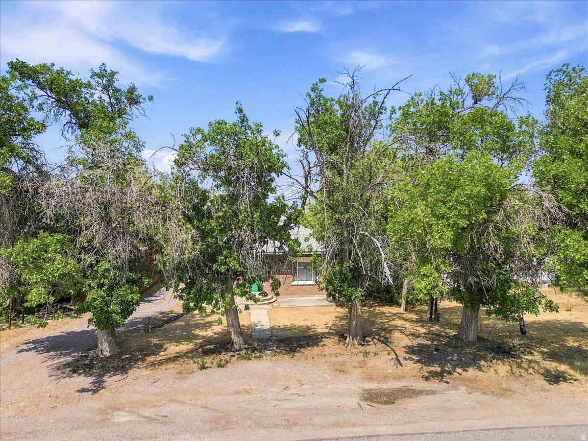 YOUNG PROPERTY - Residential