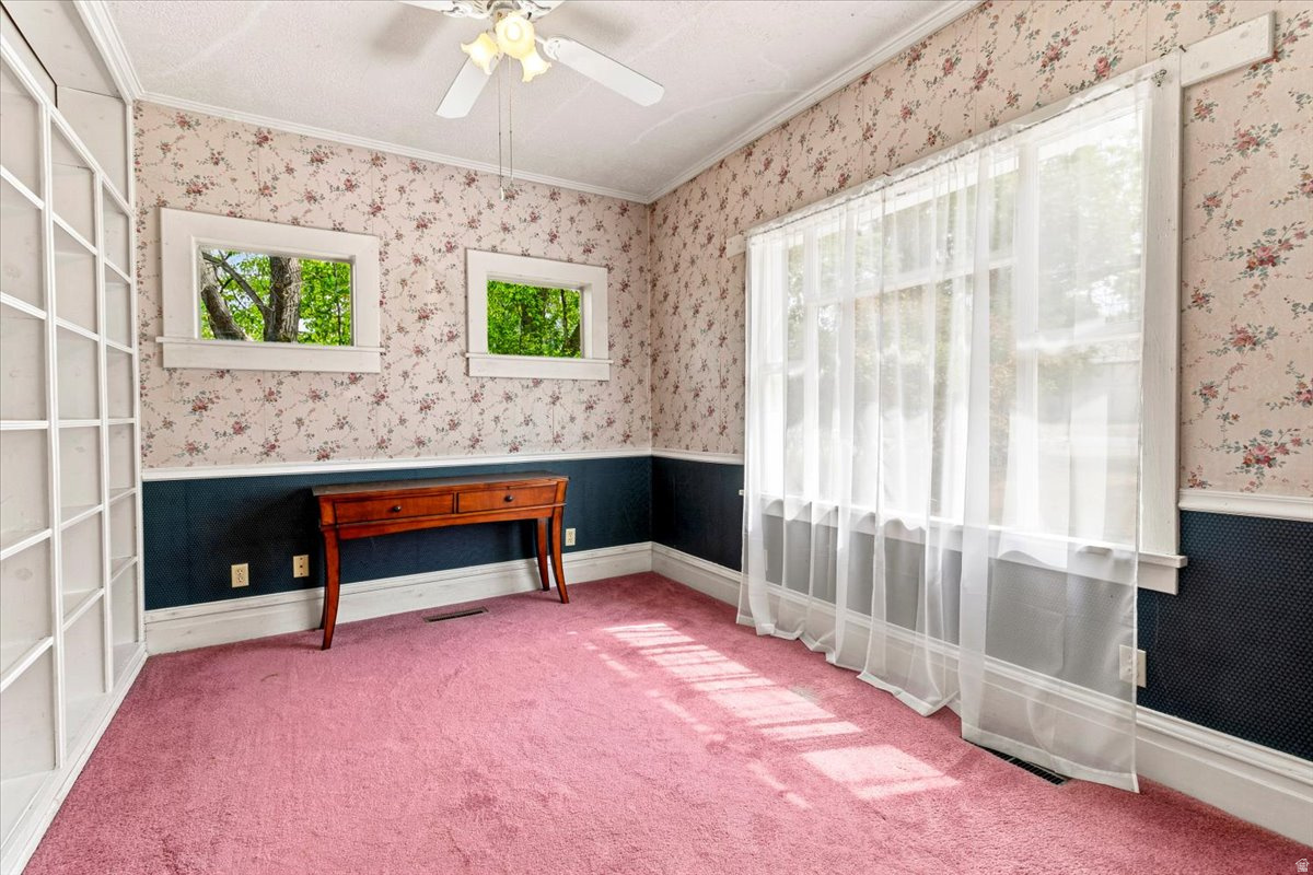 YOUNG PROPERTY - Residential