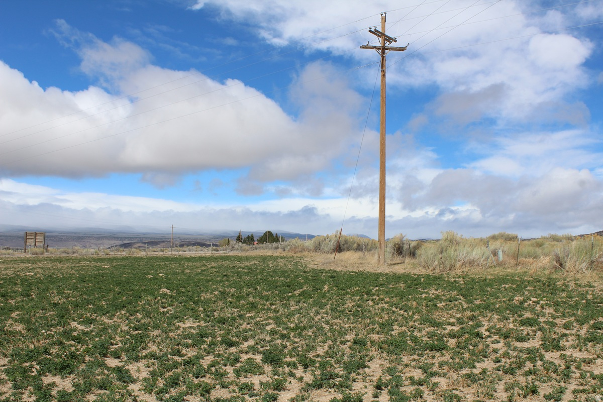 TORGERSON MINOR SUBDIVISION - Land