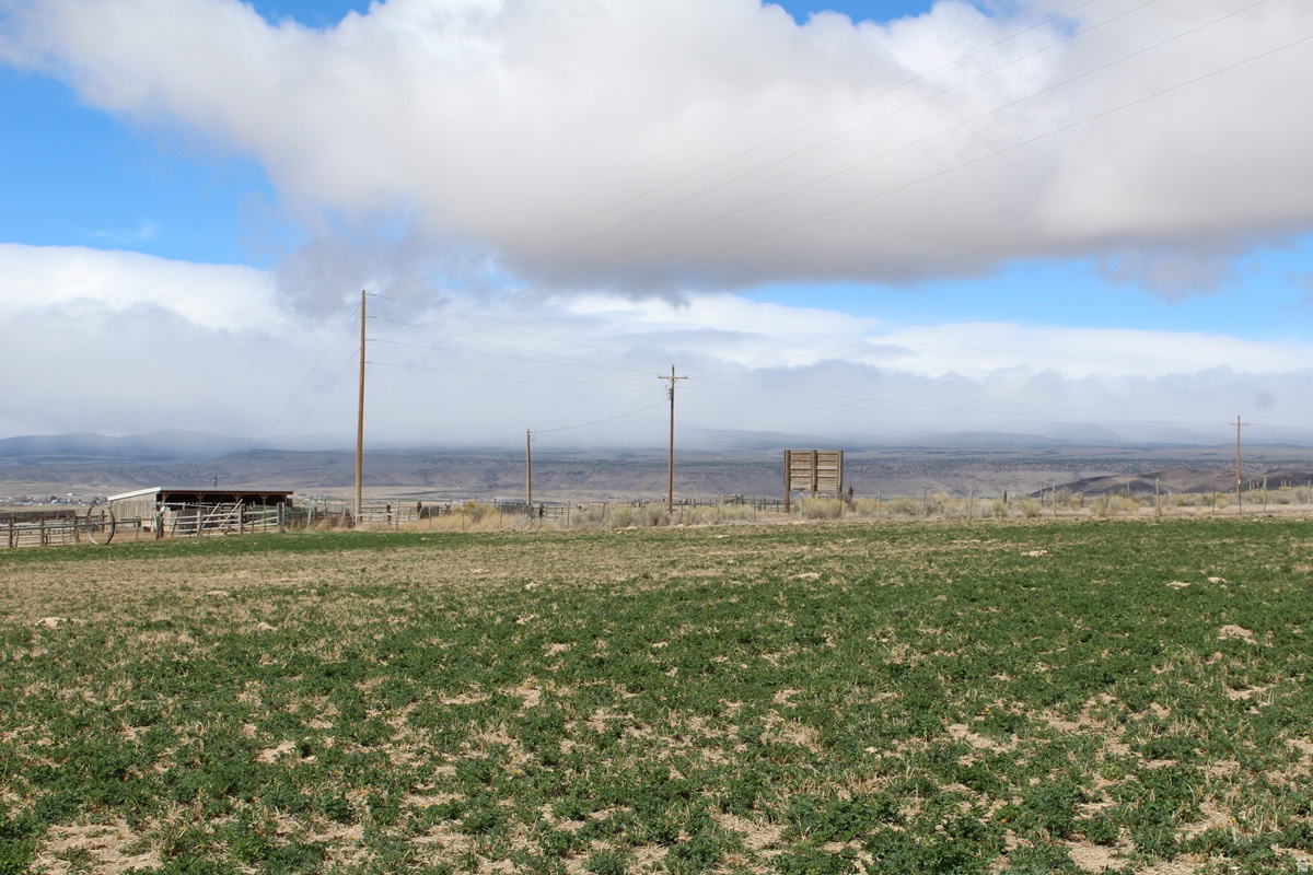 TORGERSON MINOR SUBDIVISION - Land