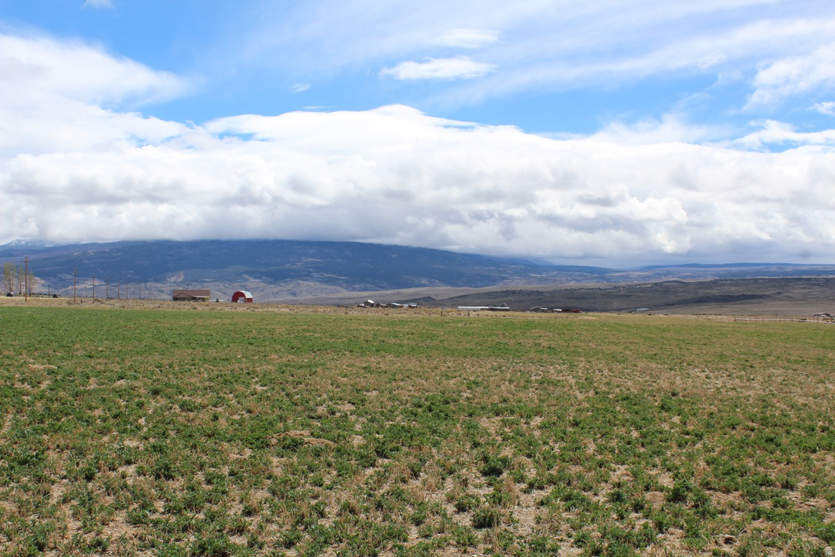 TORGERSON MINOR SUBDIVISION - Land