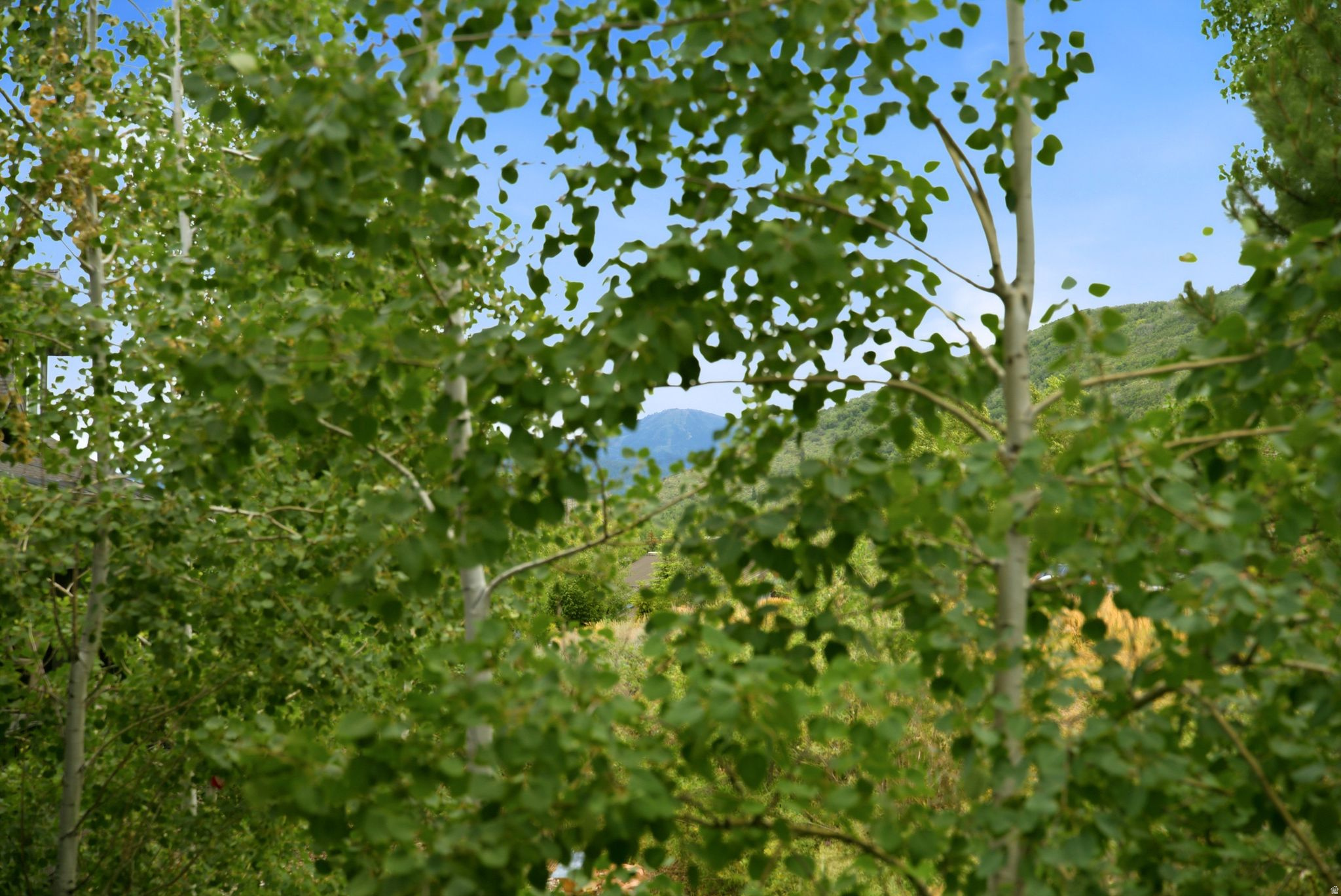 QUARRY SPRINGS - Residential