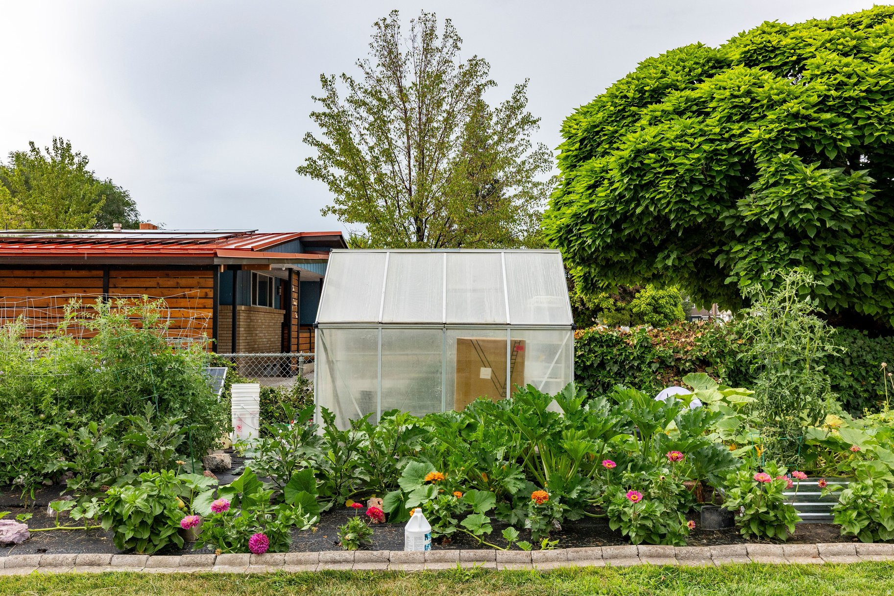 WIMBLEDON - Residential