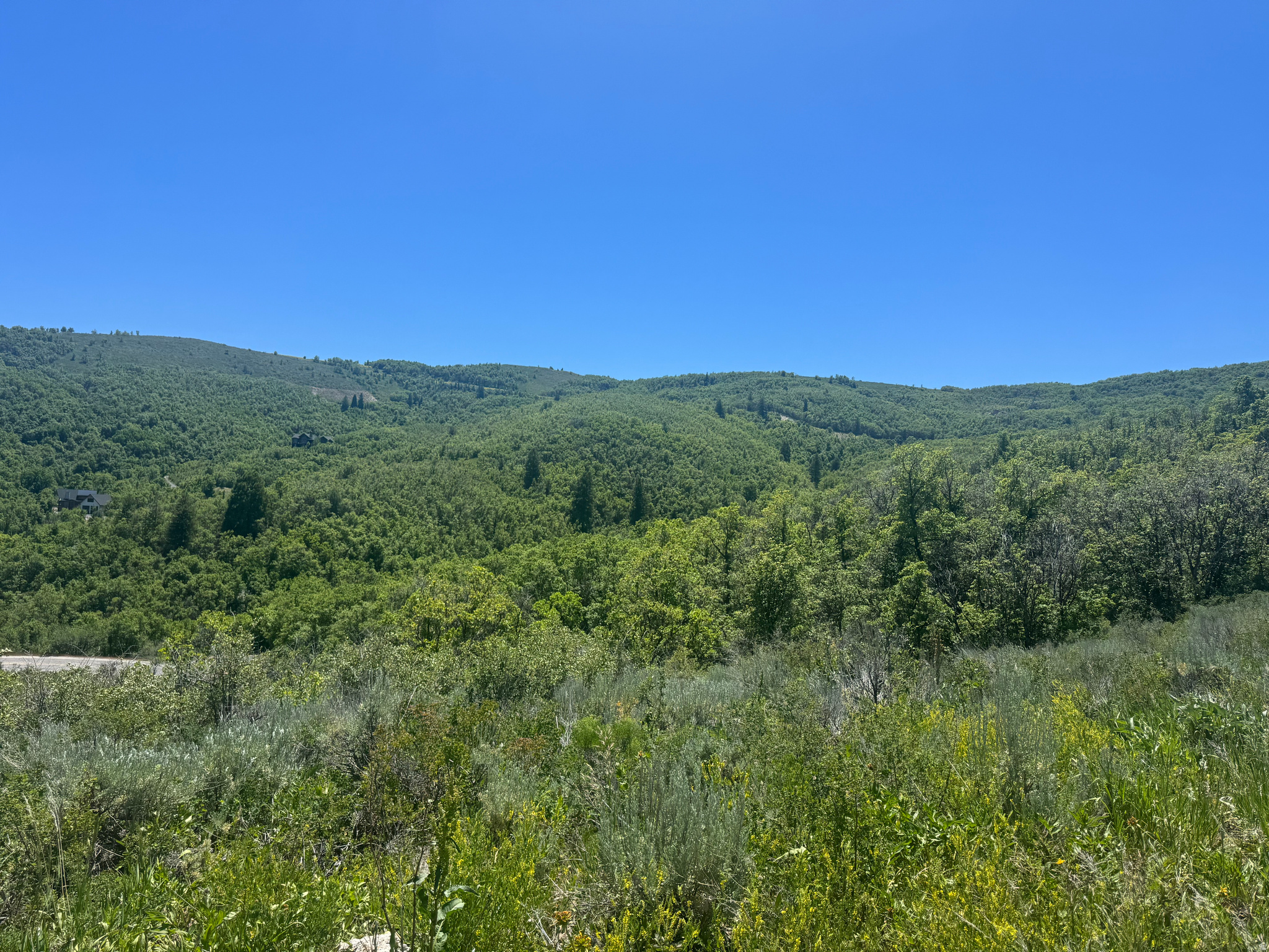 SNOW BASIN - Land