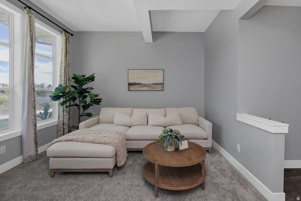 SPRINGCREEK CROSSING - Residential