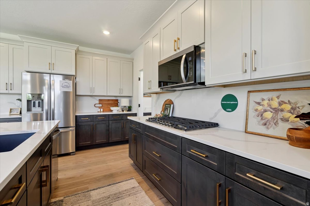 NORTH LAKE MEADOWS - Residential