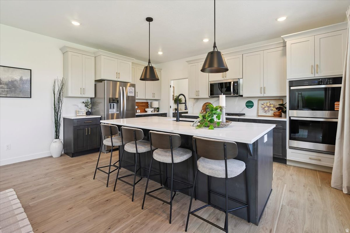 NORTH LAKE MEADOWS - Residential