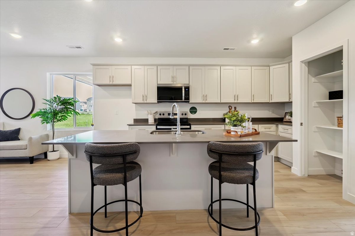 NORTH LAKE MEADOWS - Residential