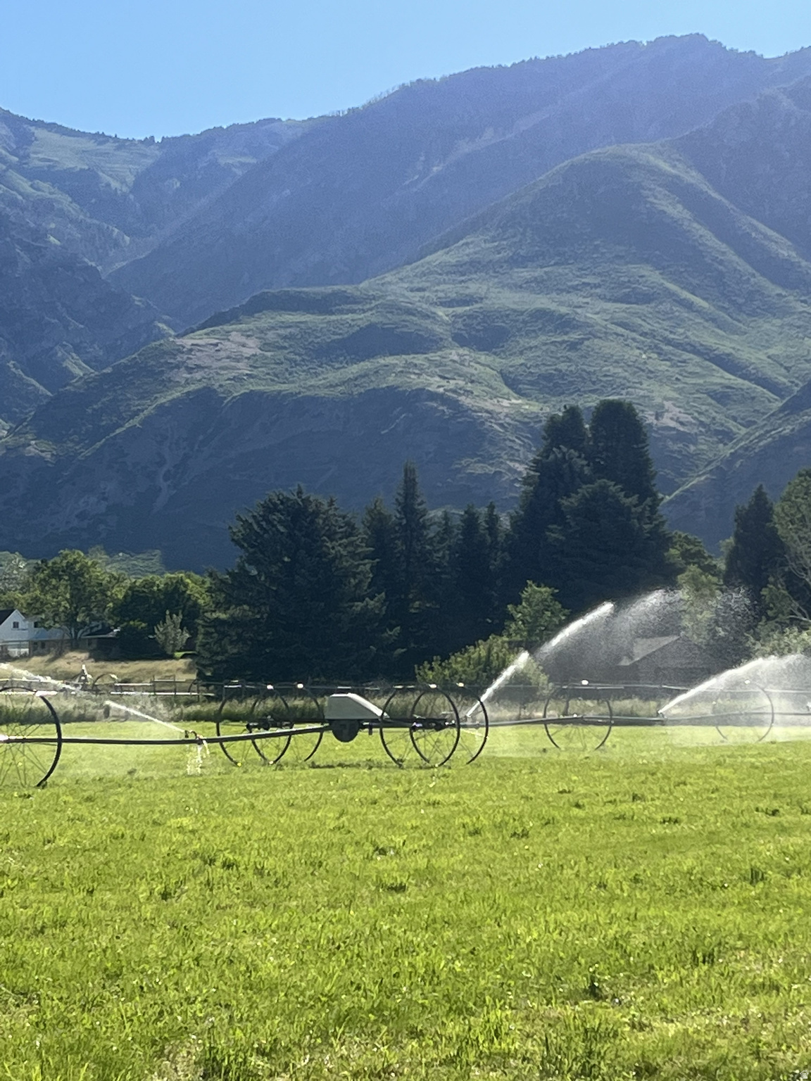 This 11+ acre plot of land is nestled in beautiful Alpine, Utah, with views of Box Elder, Lone Peak and Mt Timpanogos. It has been farmed for 50 plus years, has very rich and fertile soil and has been home to many animals. It has the potential of being a beautiful spot for horse property with an existing barn or could be developed as an investment. There is currently a home in the most beautiful corner of the property surrounded by tall pines and trees. Come see for yourself the beautiful opportunity that might be yours.