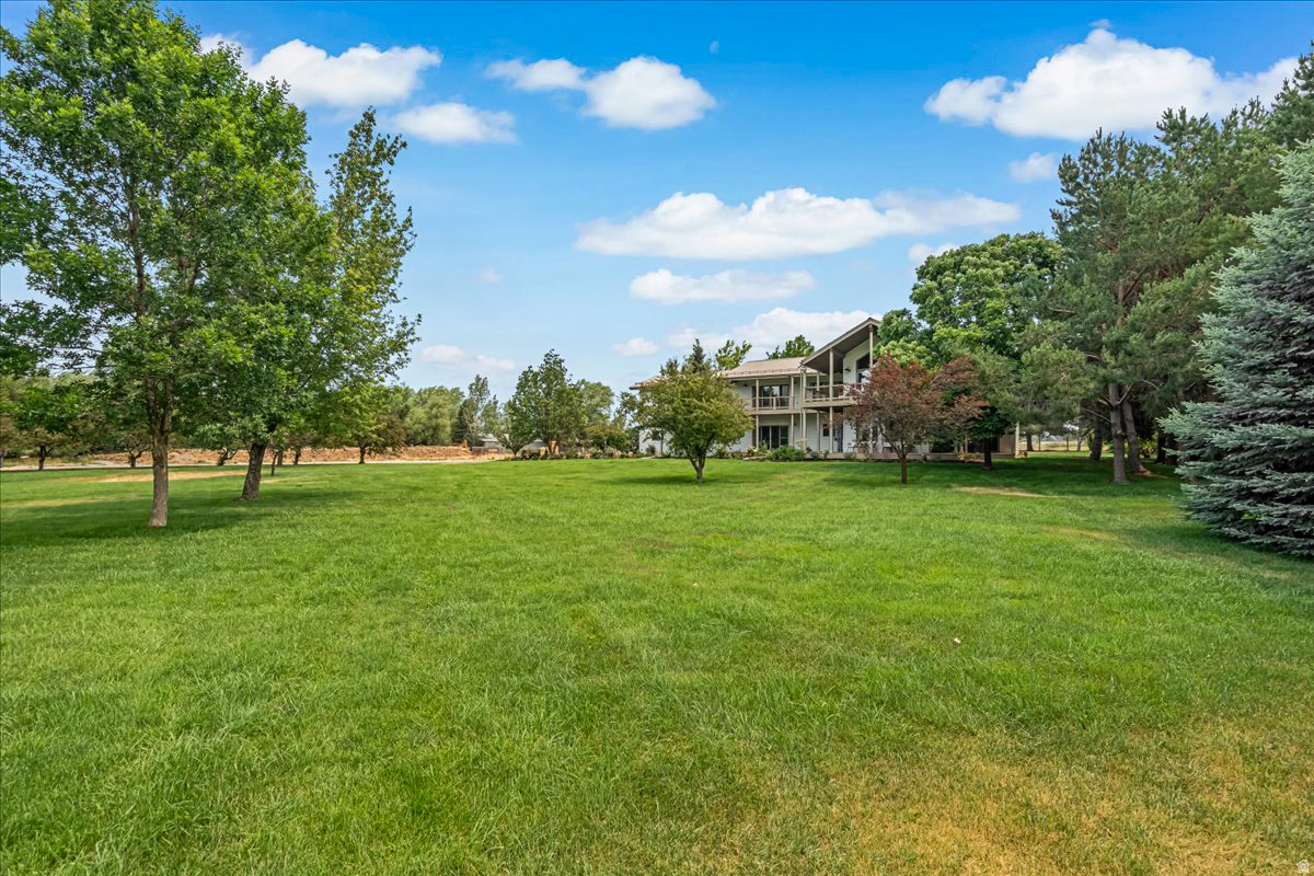 DANIELS RANCH - Residential