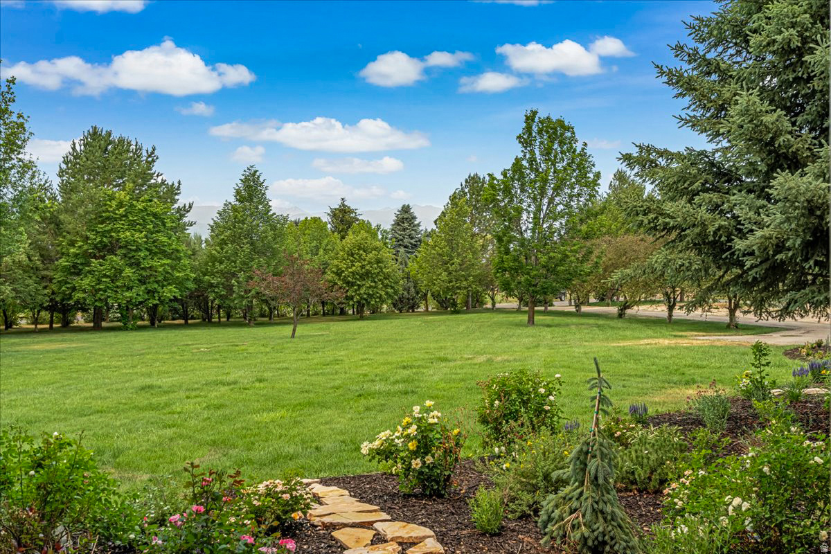 DANIELS RANCH - Residential