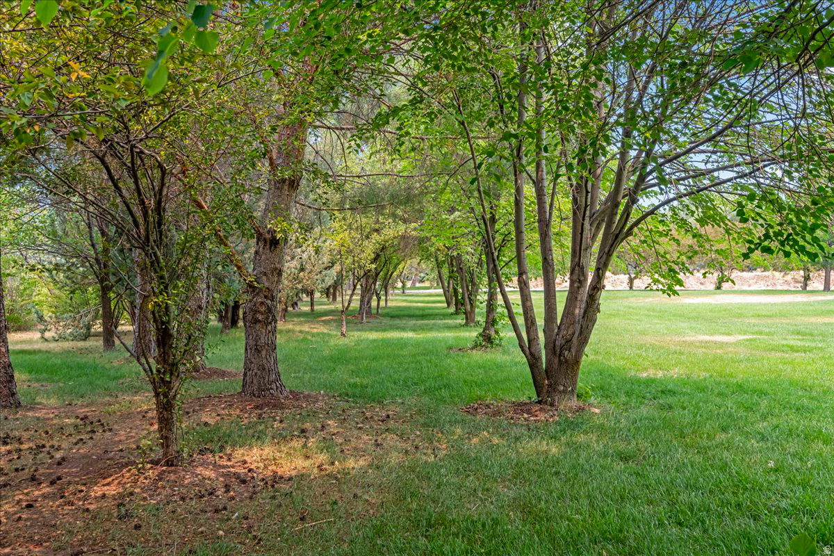 DANIELS RANCH - Residential