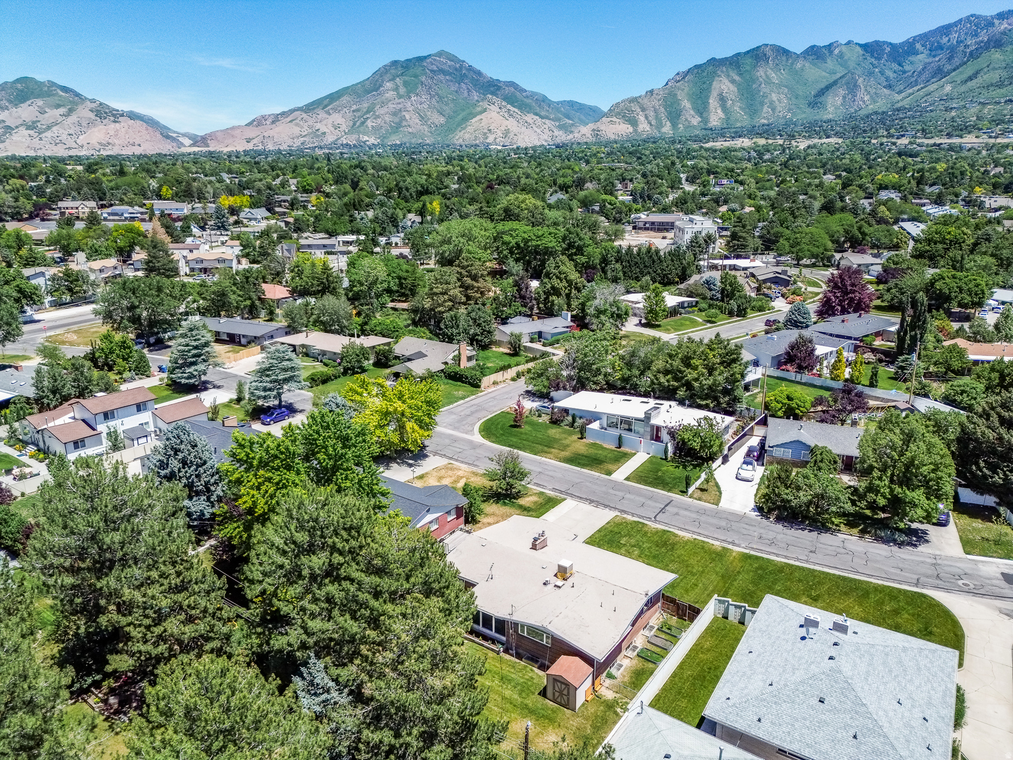 BLUE RIBBON ACRES - Residential