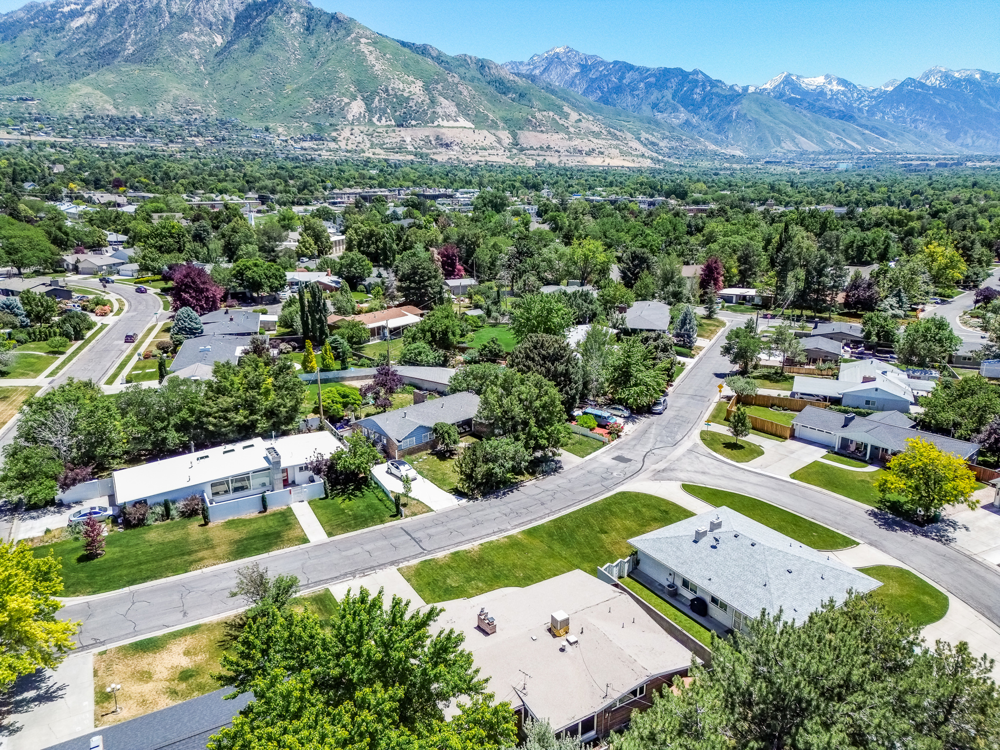 BLUE RIBBON ACRES - Residential