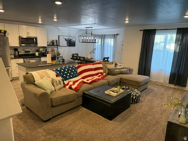SPRINGSIDE MEADOWS - Residential