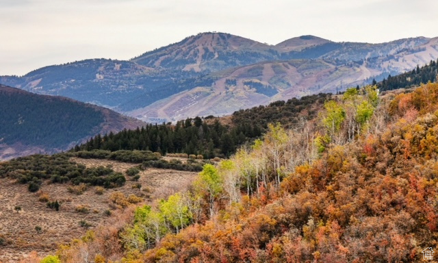 ECKER HILL - Land