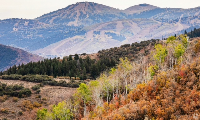ECKER HILL - Land