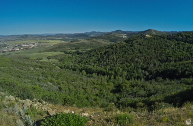 ECKER HILL - Land