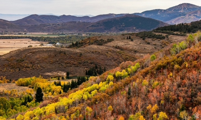 ECKER HILL - Land