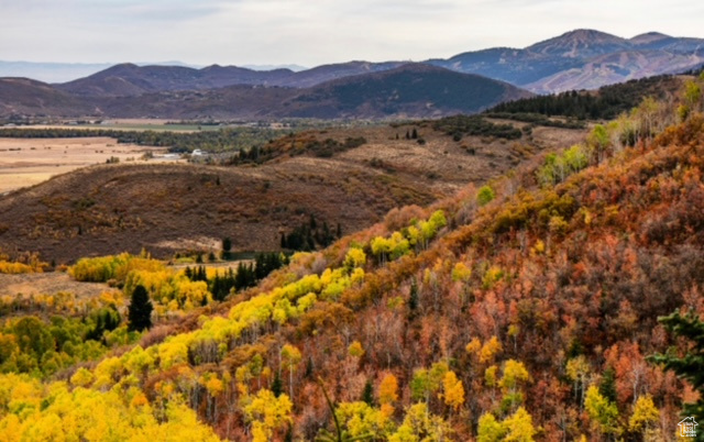 ECKER HILL - Land