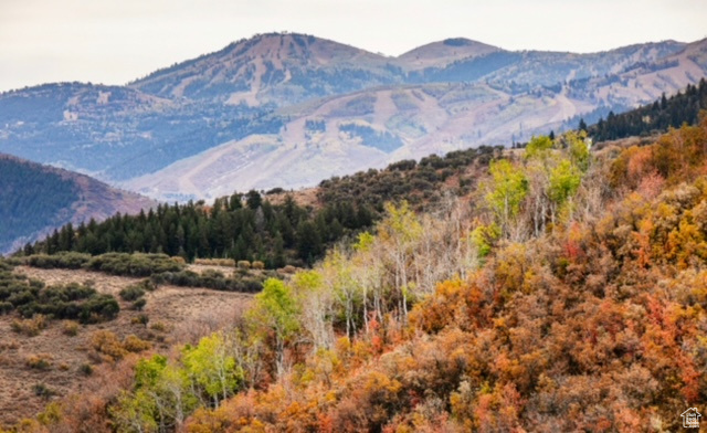 ECKER HILL - Land