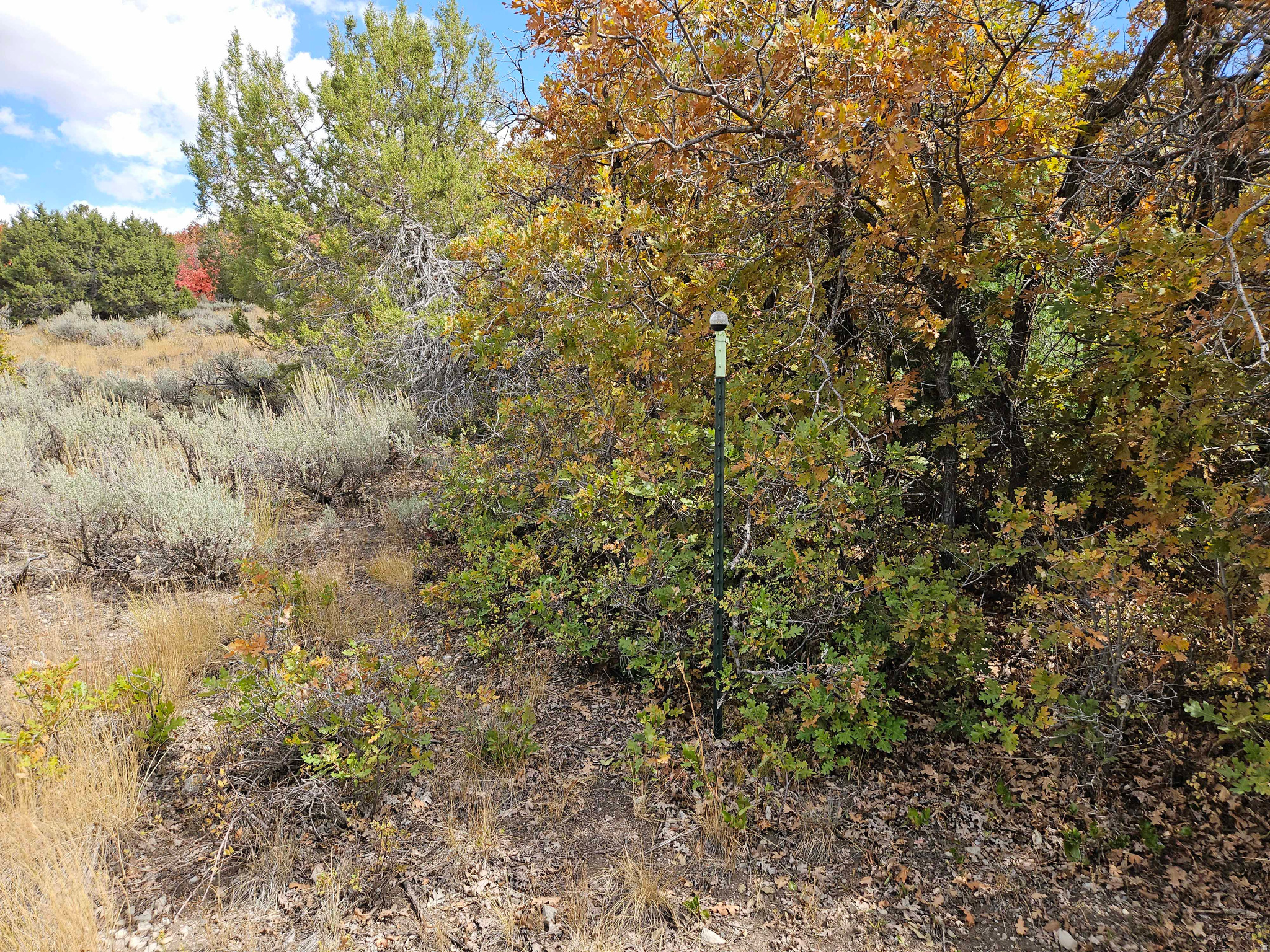 ASPEN HILLS - Land