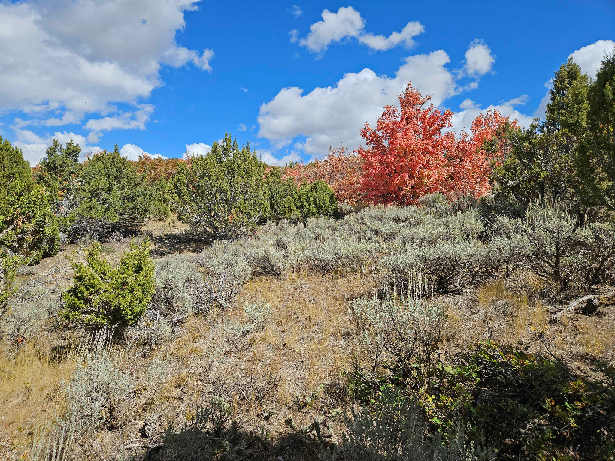 ASPEN HILLS - Land