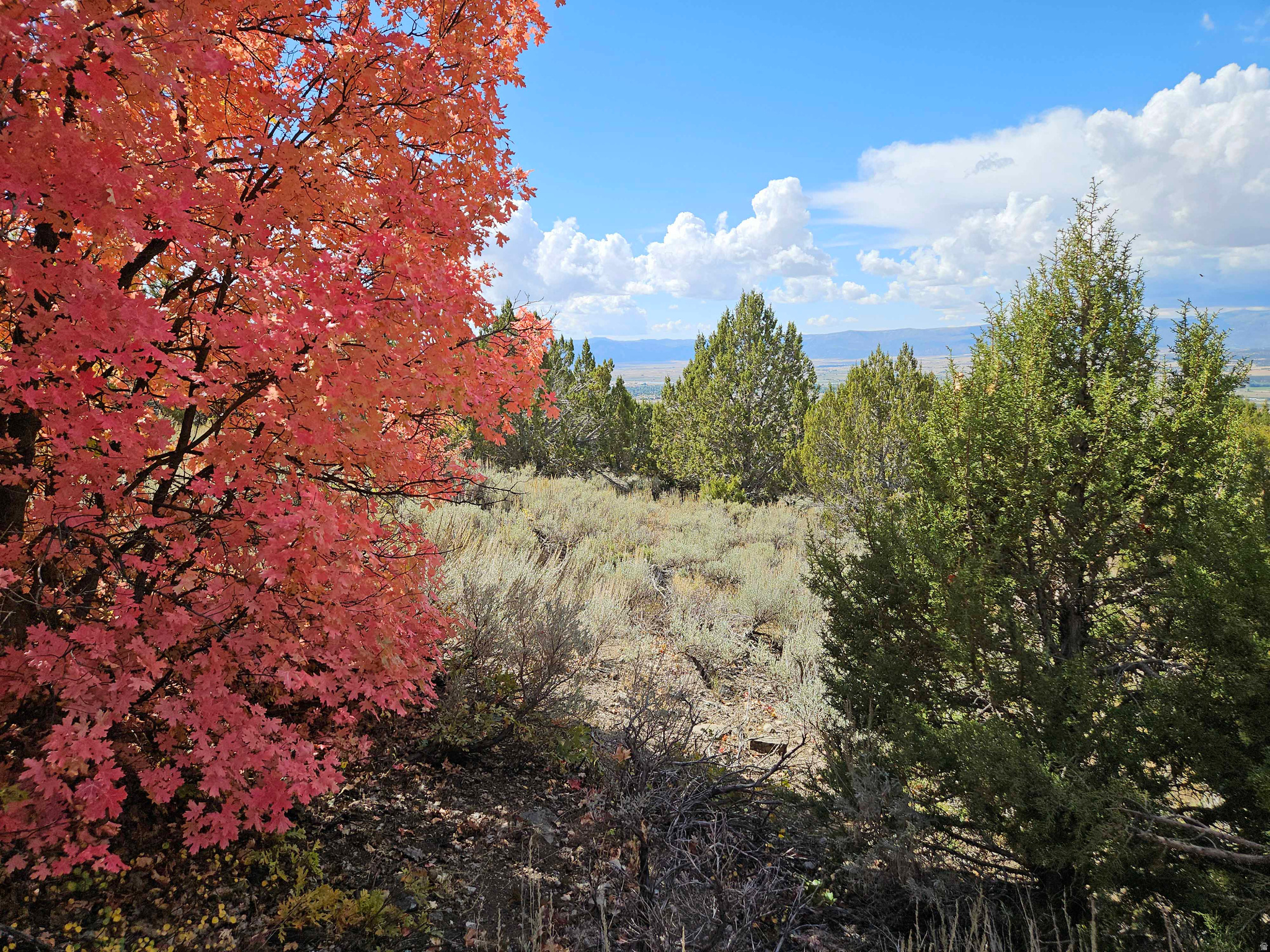 ASPEN HILLS - Land