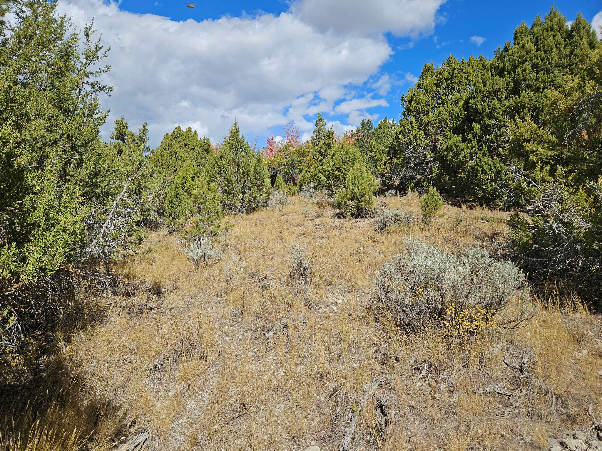 ASPEN HILLS - Land