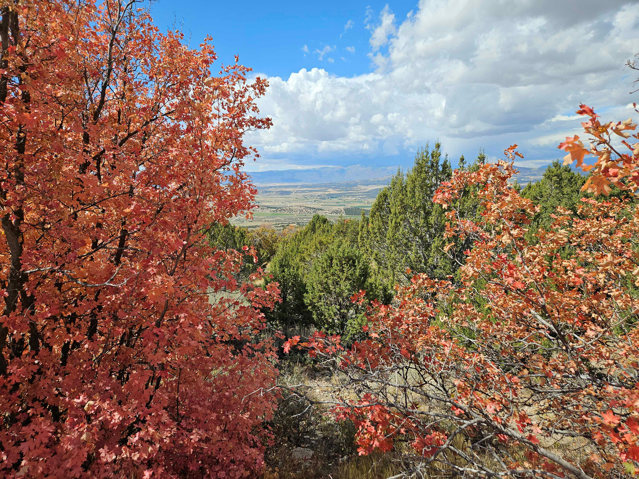 Property defined as being Lot 30, Aspen Hills. This property is one of the larger lots in the subdivision. It has great views of the Sanpete Valley below and the Wasatch mountains. Good road access to the property that has never been developed. This property is located in a gated community. Unless you have access to a gate key; you or your agent should contact the listing agent to borrow a key.