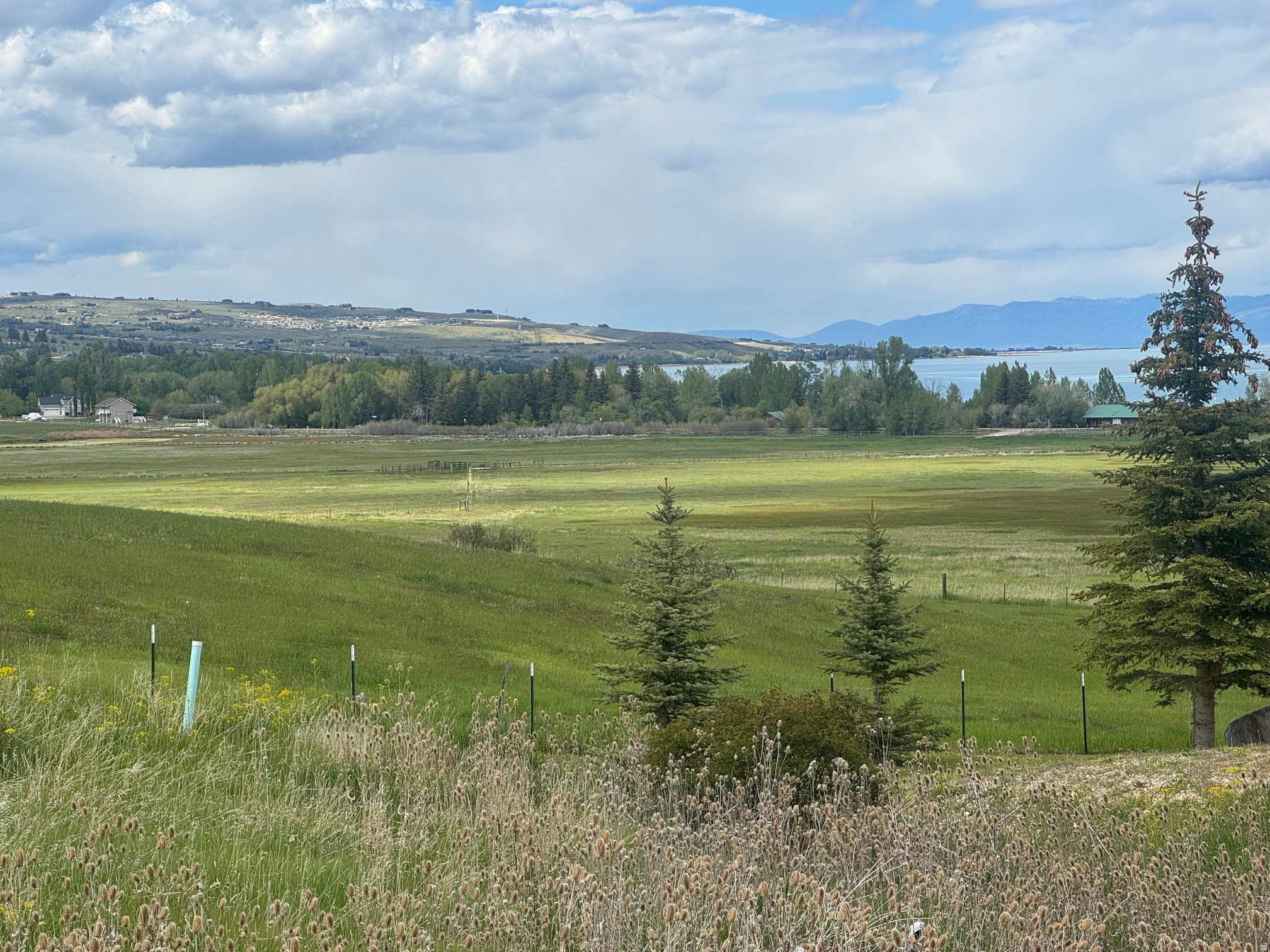 SWAN CREEK PLAT 1 - Land