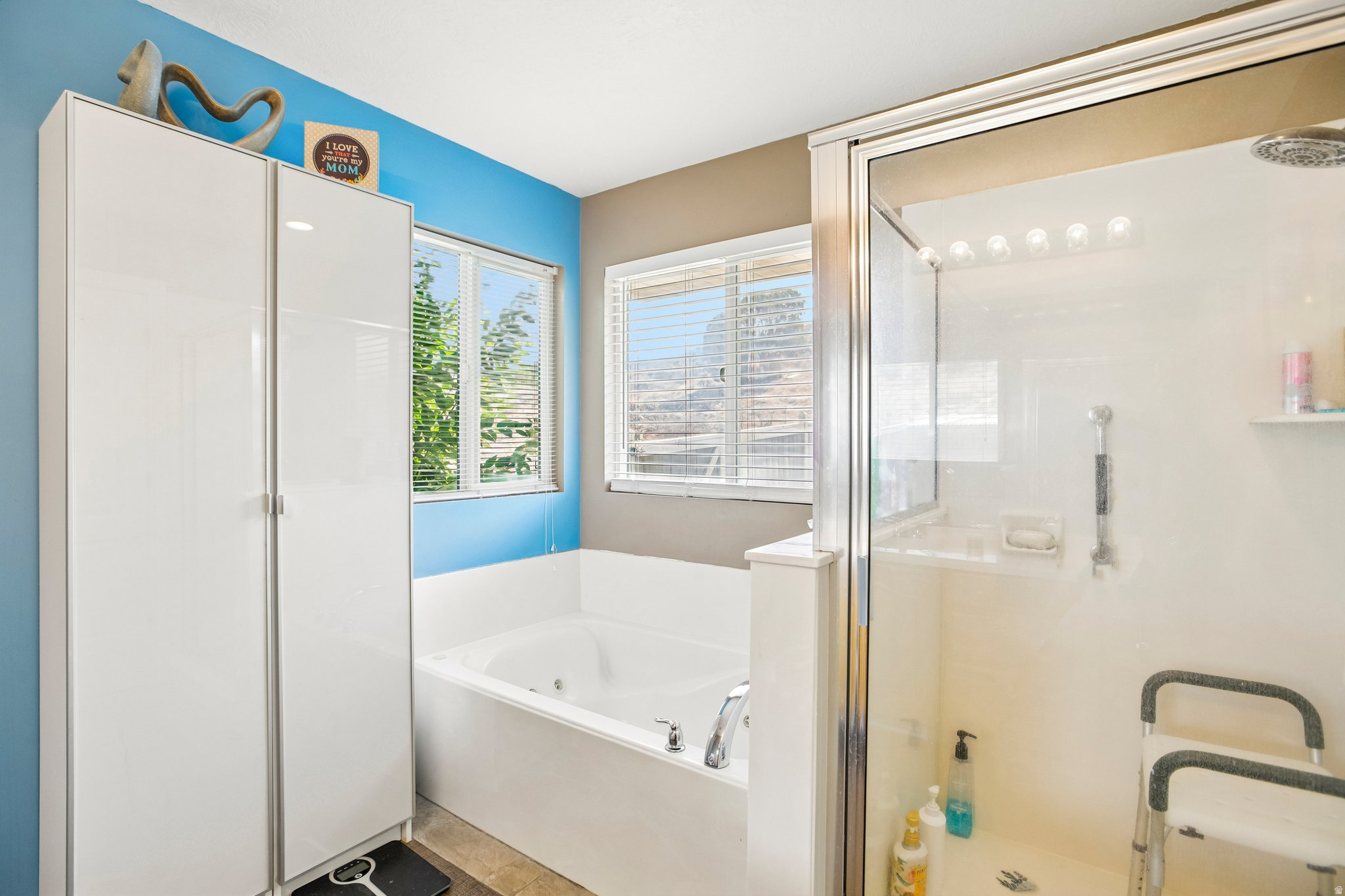 FREEMONT SPRINGS - Residential