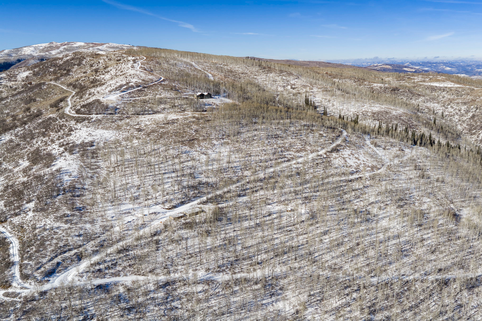 CANYON RIM - Land