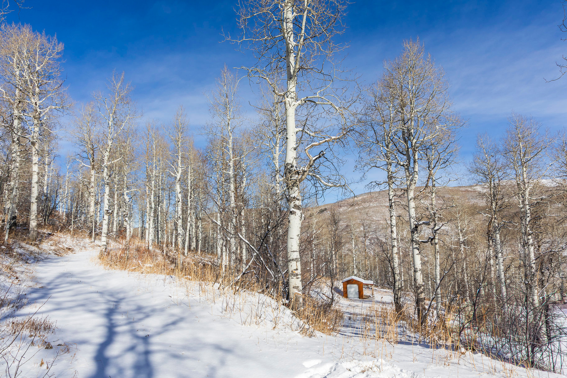 CANYON RIM - Land