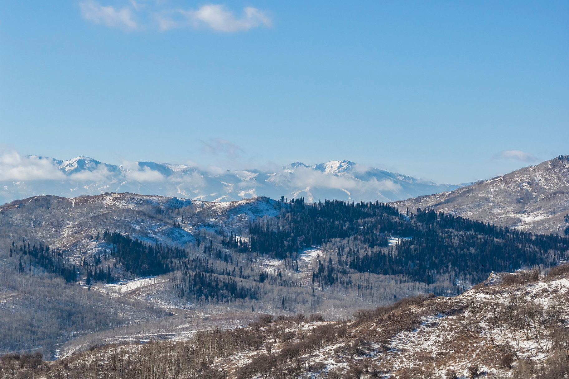 CANYON RIM - Land