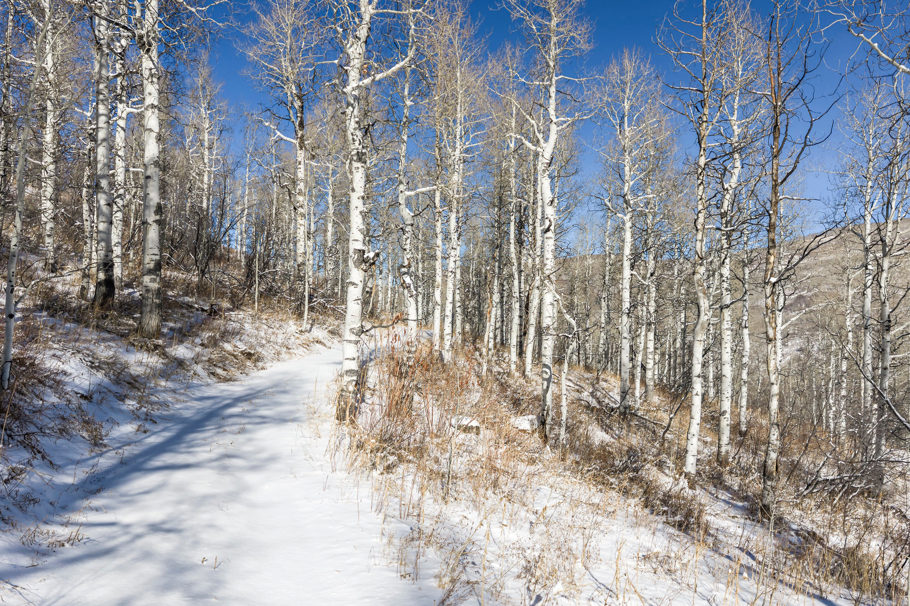 CANYON RIM - Land