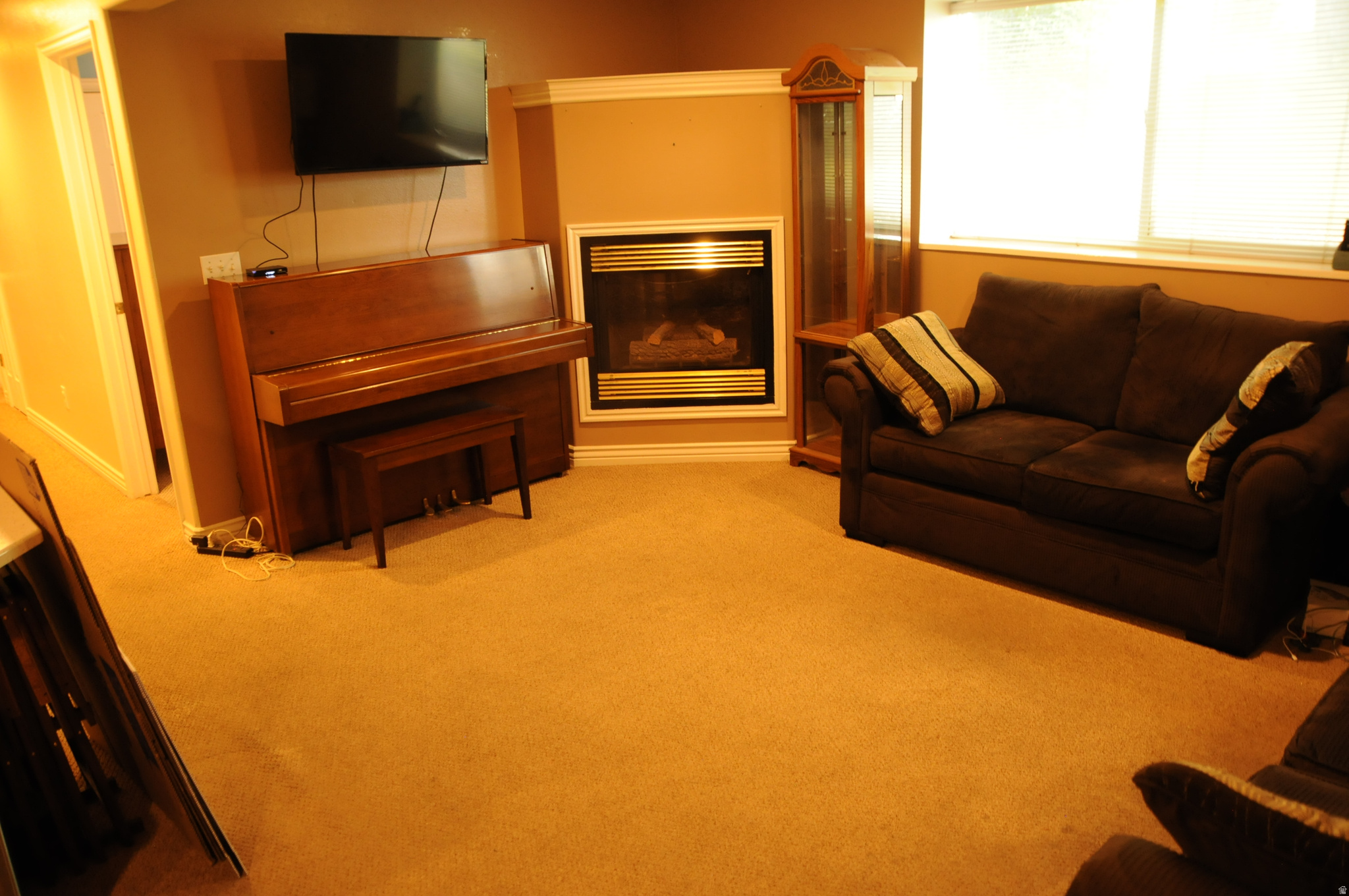 FRANKLIN PARK CONDO - Residential