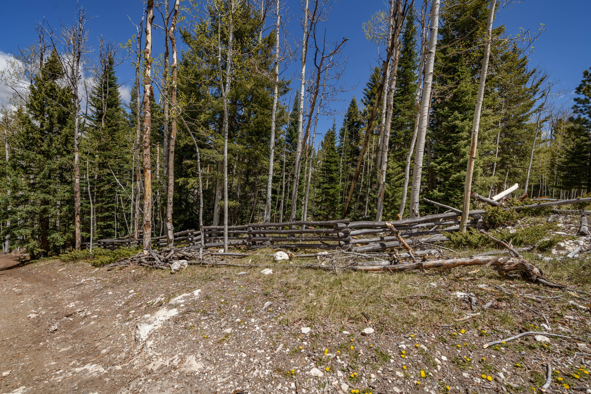 CLEAR CREEK ESTATES - Land