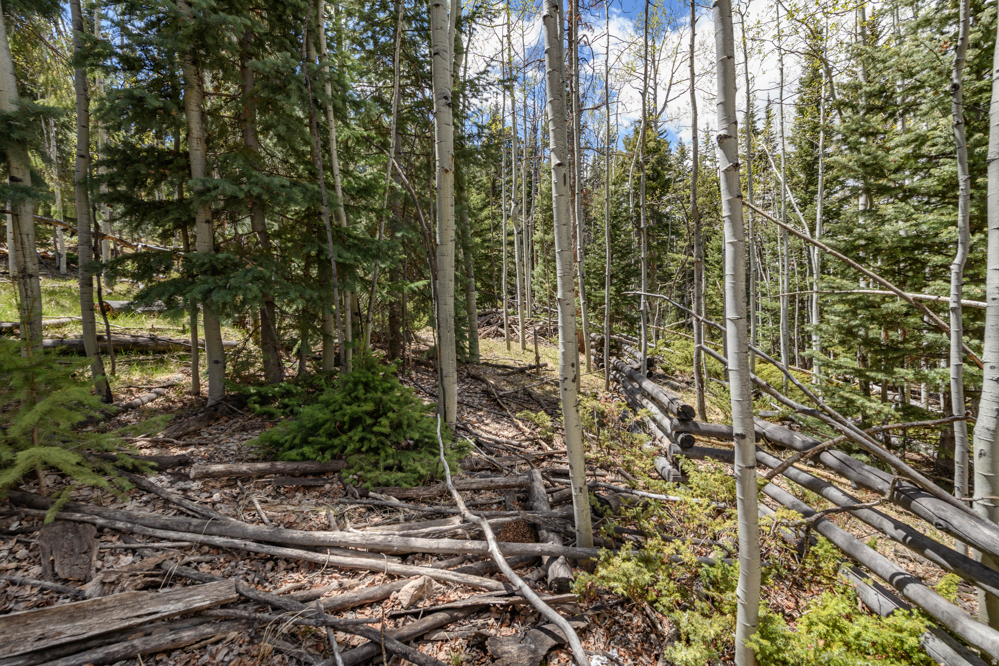 CLEAR CREEK ESTATES - Land