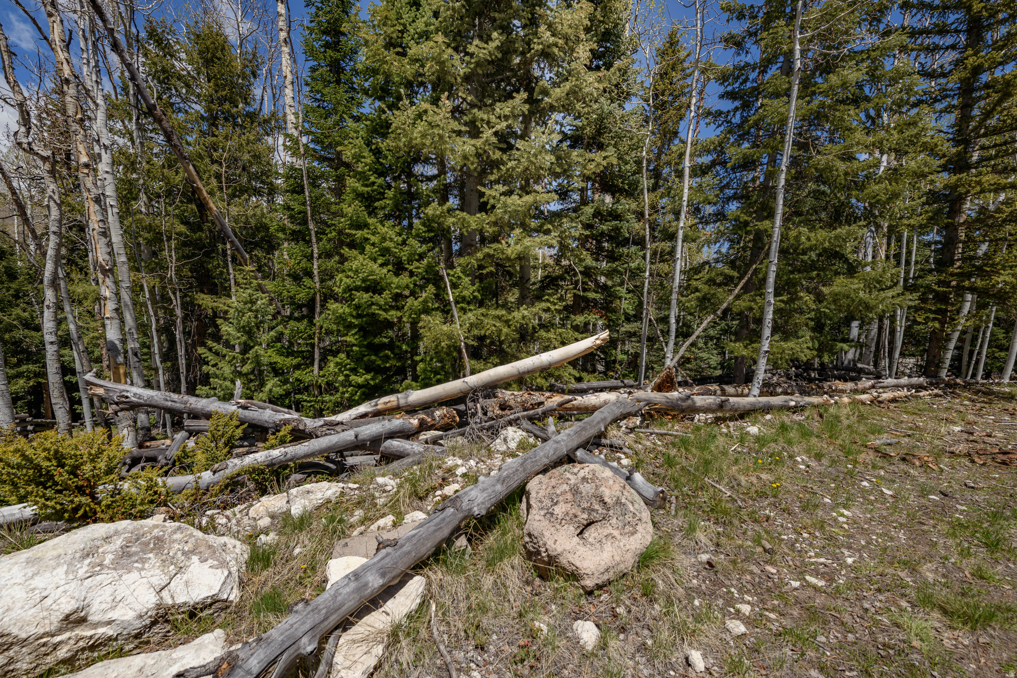 CLEAR CREEK ESTATES - Land