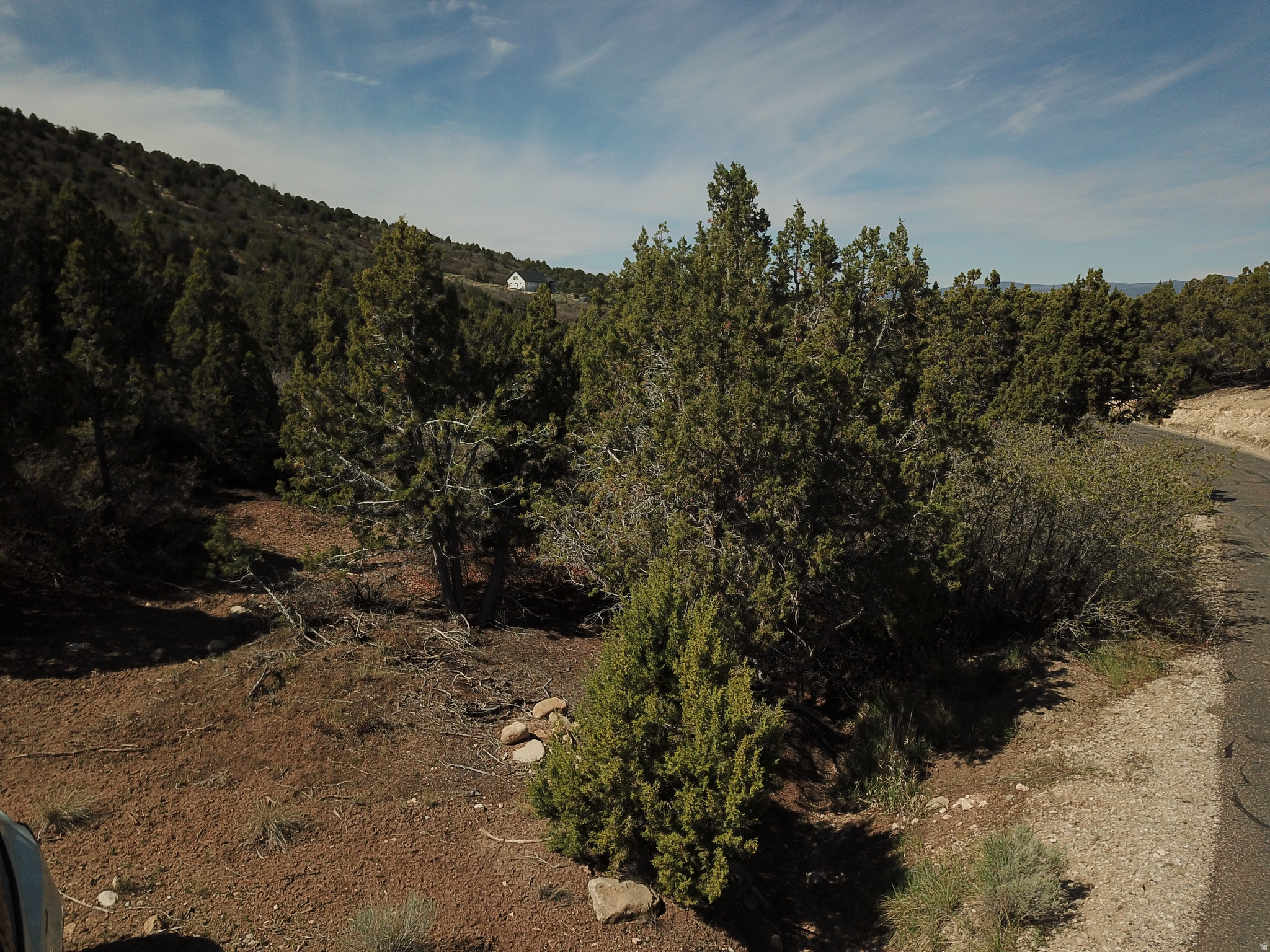 HORSESHOE MT RANCH - Land