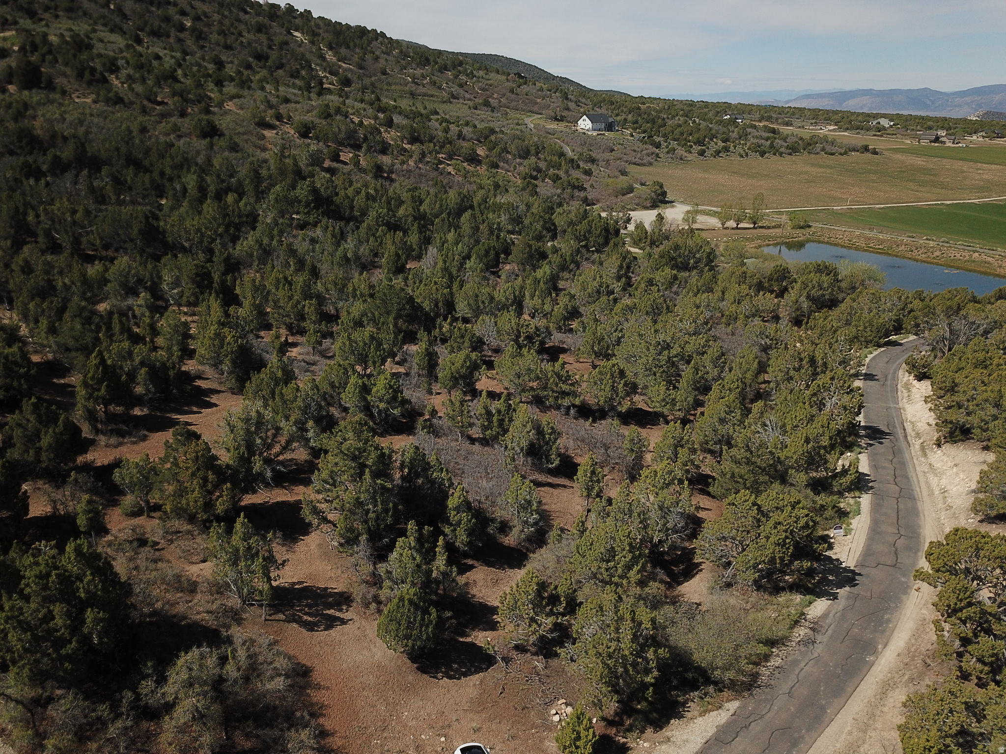 HORSESHOE MT RANCH - Land