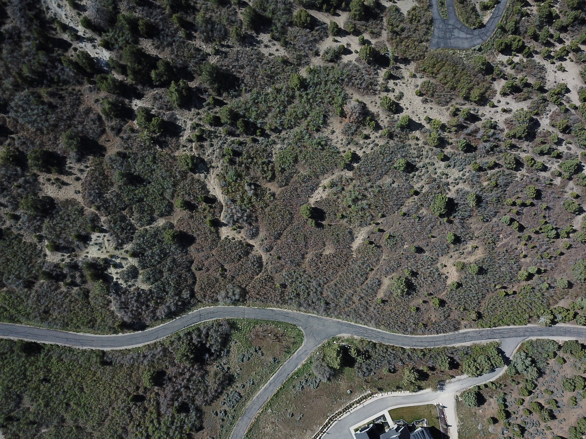 HORSESHOE MT RANCH - Land