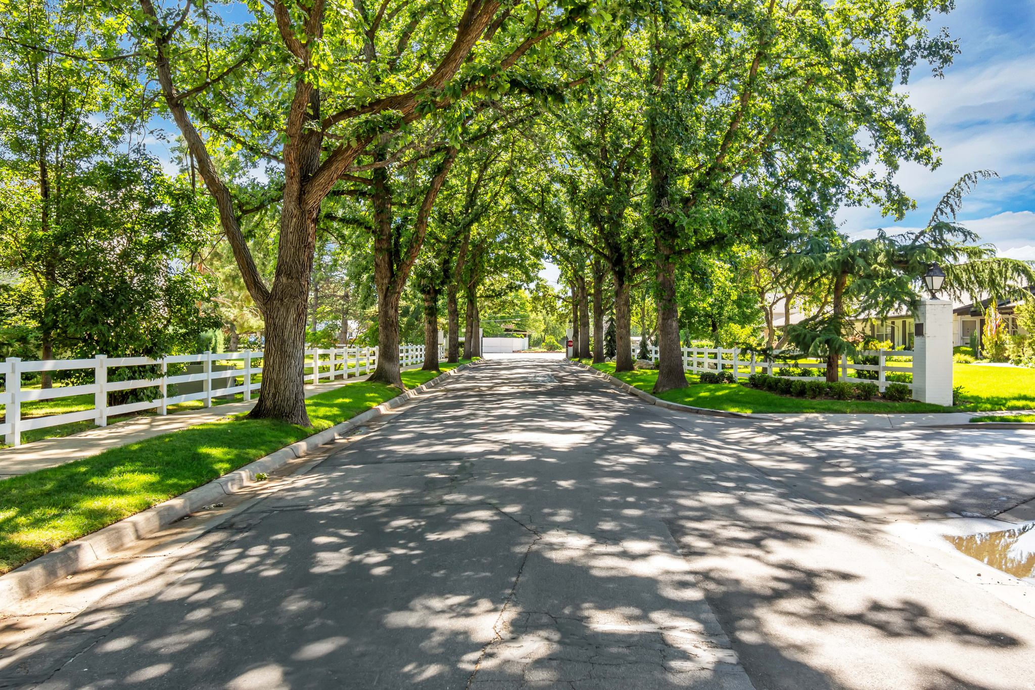 WAYLAND STATION AT OLD FARM - Residential