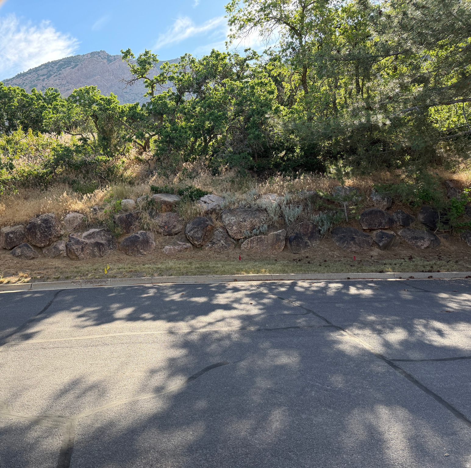 EAST BENCH AT 29TH - Land