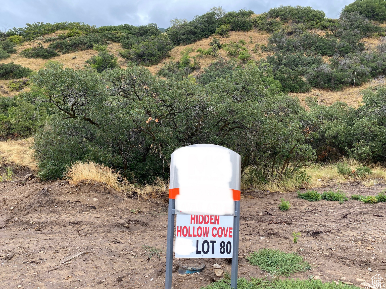 HIDDEN HOLLOW - Land