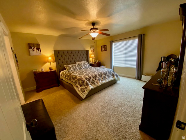 THE COVE - Residential