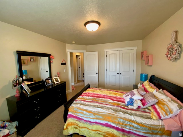 THE COVE - Residential
