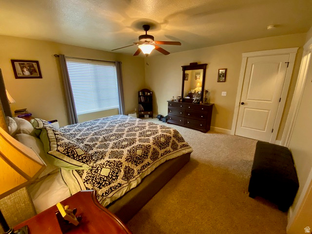 THE COVE - Residential